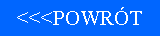 Pole tekstowe: <<<POWR�T